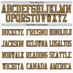 Weiß Alt Authentische Gold-Schwarz Jersey Fußball Mesh Custom Weiß Alt Authentische Gold-Schwarz Jersey Fußball Mesh Custom