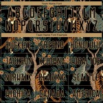 Fußball Sublimation Uniform Custom Tiger Pfau Schwarz Gold Alte Jersey Und