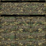 Authentisches Trikot Camo Cream To Baseball Black-City Salute Custom Service
